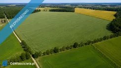 44235 - zdjęcie nr 2