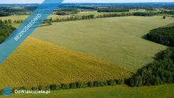 44235 - zdjęcie nr 3