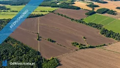 44235 - zdjęcie nr 4