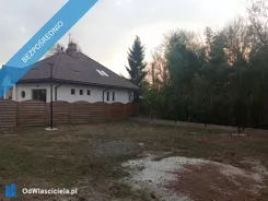 41592 - zdjęcie nr 3