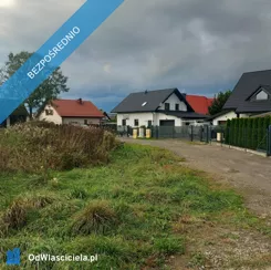 42144 - zdjęcie nr 4