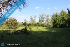 42789 - zdjęcie nr 3