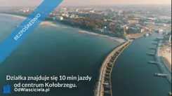 41734 - zdjęcie nr 0