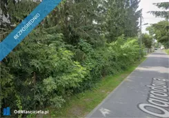 44299 - zdjęcie nr 1