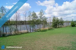 41848 - zdjęcie nr 0