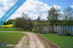 41848 - zdjęcie nr 2