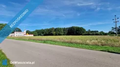 43422 - zdjęcie nr 3