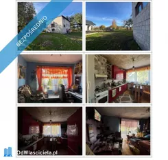 40363 - zdjęcie nr 0