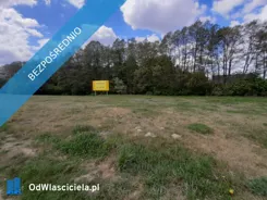 43839 - zdjęcie nr 2