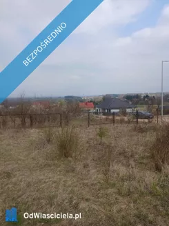 41287 - zdjęcie nr 2