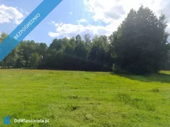 44087 - zdjęcie nr 3