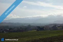 41409 - zdjęcie nr 0