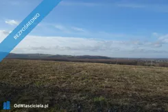 41409 - zdjęcie nr 2