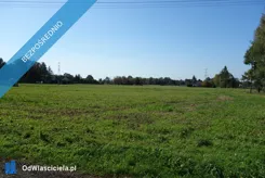 42409 - zdjęcie nr 4
