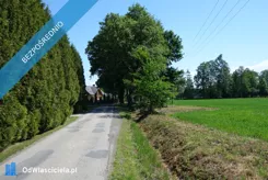 43837 - zdjęcie nr 3