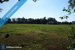 43837 - zdjęcie nr 4