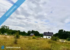 42835 - zdjęcie nr 0