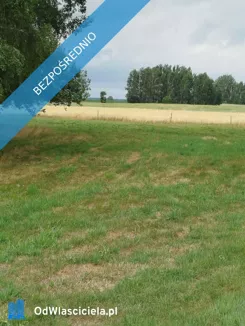 42627 - zdjęcie nr 0