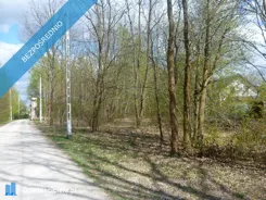 42069 - zdjęcie nr 2