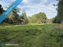 42832 - zdjęcie nr 1