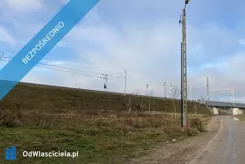 42798 - zdjęcie nr 2