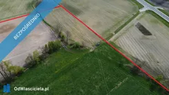 44350 - zdjęcie nr 3