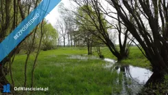 44350 - zdjęcie nr 4