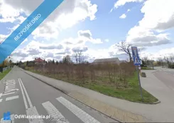 42883 - zdjęcie nr 4