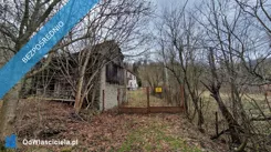 40818 - zdjęcie nr 0