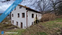 40818 - zdjęcie nr 3
