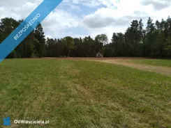 35093 - zdjęcie nr 3