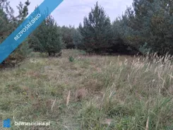 44248 - zdjęcie nr 1