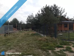 44248 - zdjęcie nr 2