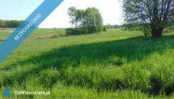 40507 - zdjęcie nr 2