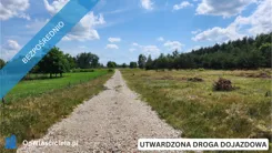27024 - zdjęcie nr 1