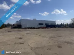 41213 - zdjęcie nr 4