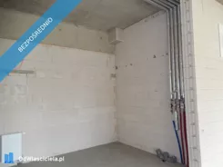 40250 - zdjęcie nr 4
