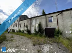 42234 - zdjęcie nr 3