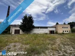 42234 - zdjęcie nr 4