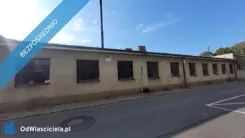 42582 - zdjęcie nr 4