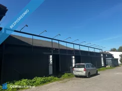 44576 - zdjęcie nr 0