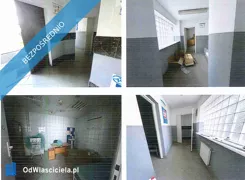 34226 - zdjęcie nr 3