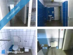 34226 - zdjęcie nr 4