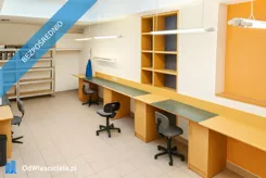 43233 - zdjęcie nr 4