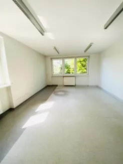 43788 - zdjęcie nr 2
