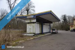 40212 - zdjęcie nr 3