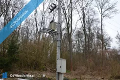 40212 - zdjęcie nr 4