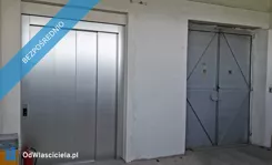 42986 - zdjęcie nr 2