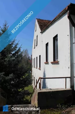 42235 - zdjęcie nr 1