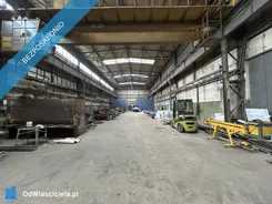 40485 - zdjęcie nr 3